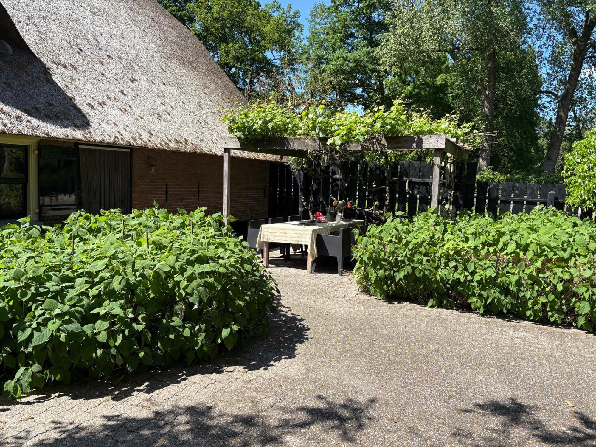Luxe Hofstede Met Paardenstalling Appartement